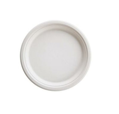 PIATTO TONDO BIANCO IN POLPA �18 (ct.20) PZ.50