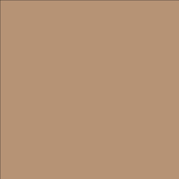 CARTA ANTIGRASSO AVANA T/UNITA CM.40x32,5 (ct.4) PZ.500