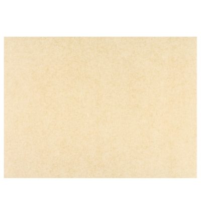 CARTA ANTIGRASSO AVANA T/UNITA CM.12,5x20 (ct.12) PZ.500